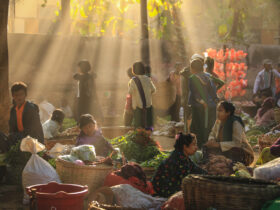 Pengertian, Fungsi, dan Jenis Pasar