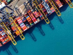 Apa Itu Customs Clearance? Alur dan Tantangan yang Sering Terjadi dalam Proses Impor