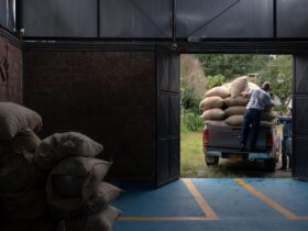 Centralized vs Distributed Warehouse: Mana yang Lebih Efisien?